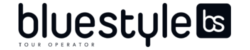 logo Bluestyle